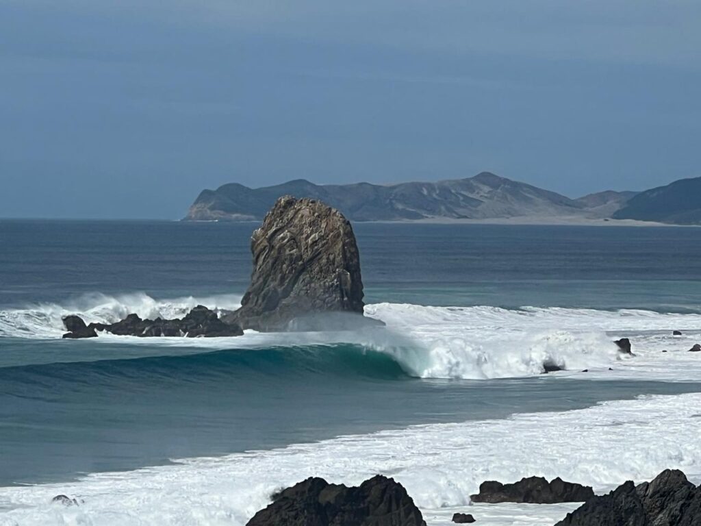 Salina Cruz surf camp rates and booking policies at LunaCoral